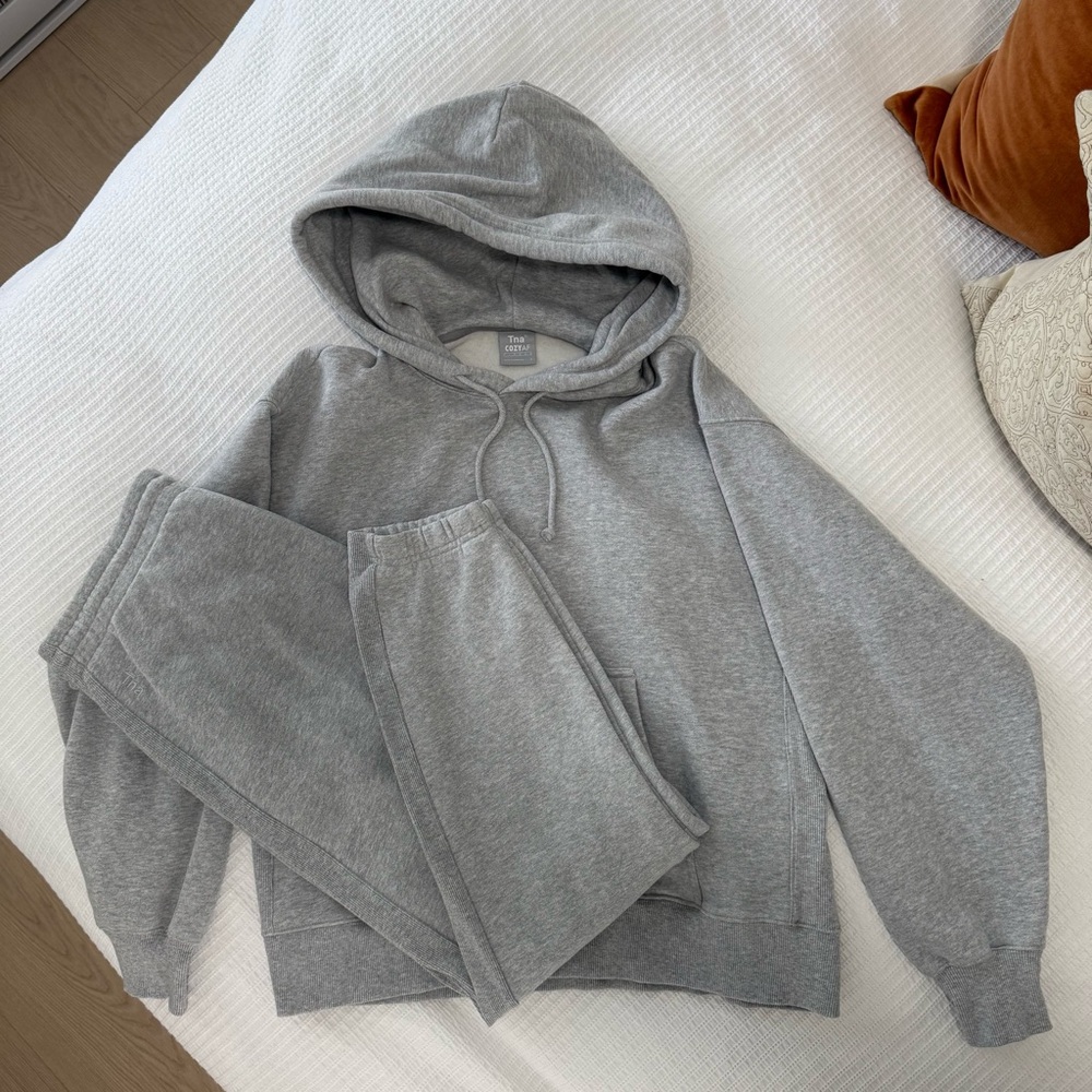 Aritzia TNA Gray Hoodie and Sweatpants Set